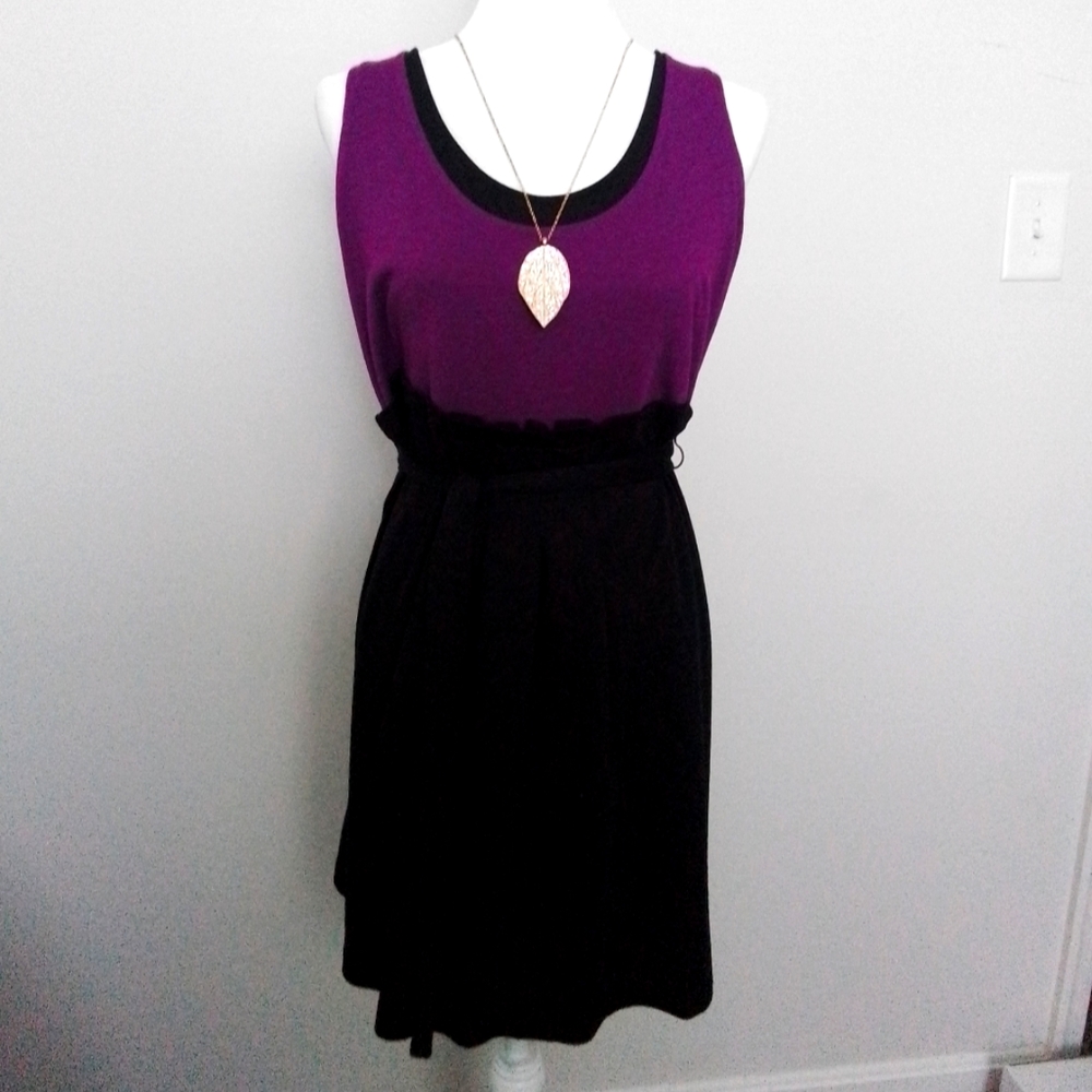 Daisy Fuentes Dress
